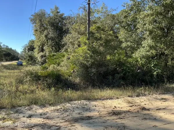 205 Dunaway Street, Interlachen, FL 32148