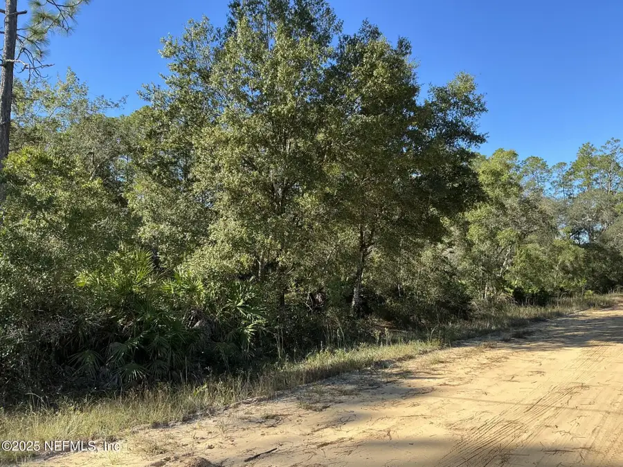 205 Dunaway Street, Interlachen, FL 32148 - Image #2