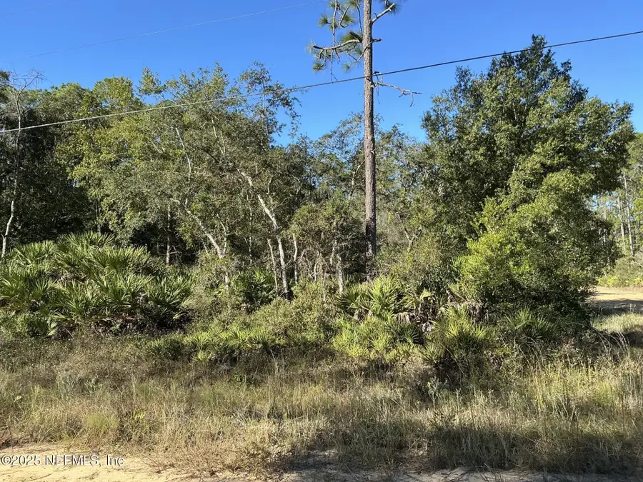 205 Dunaway Street, Interlachen, FL 32148 - Image #3