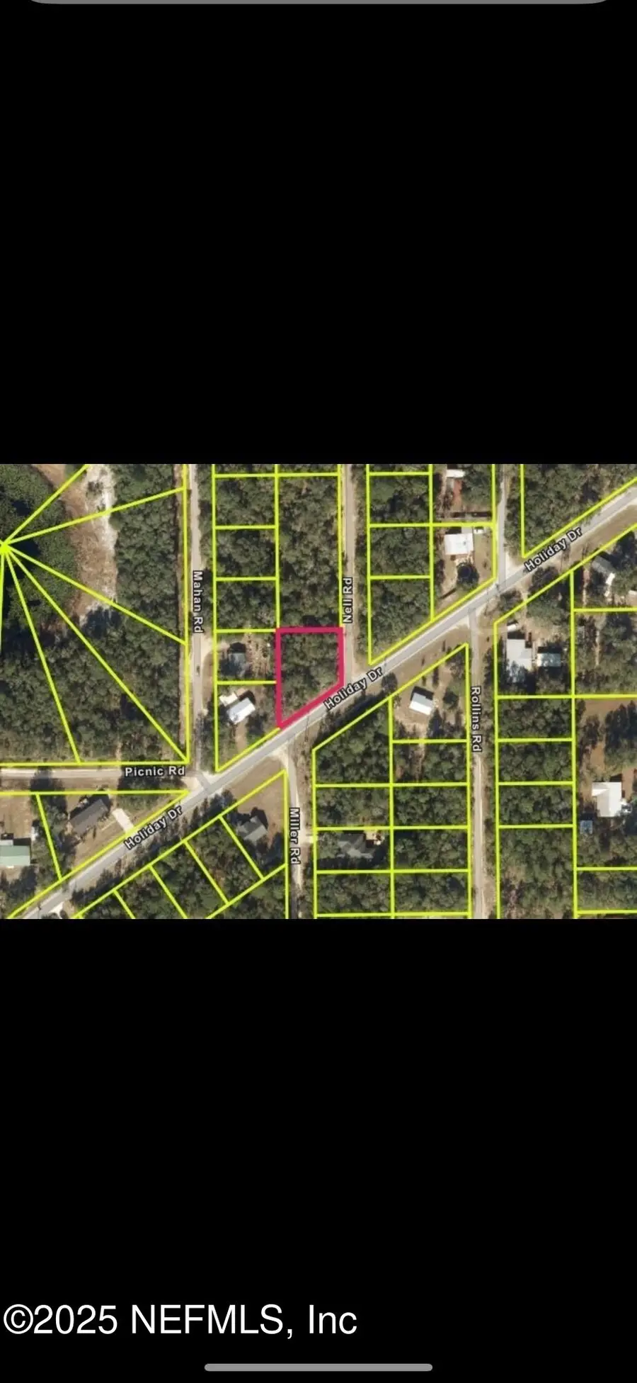 00 Holiday Drive, Interlachen, FL 32148 - Image #3