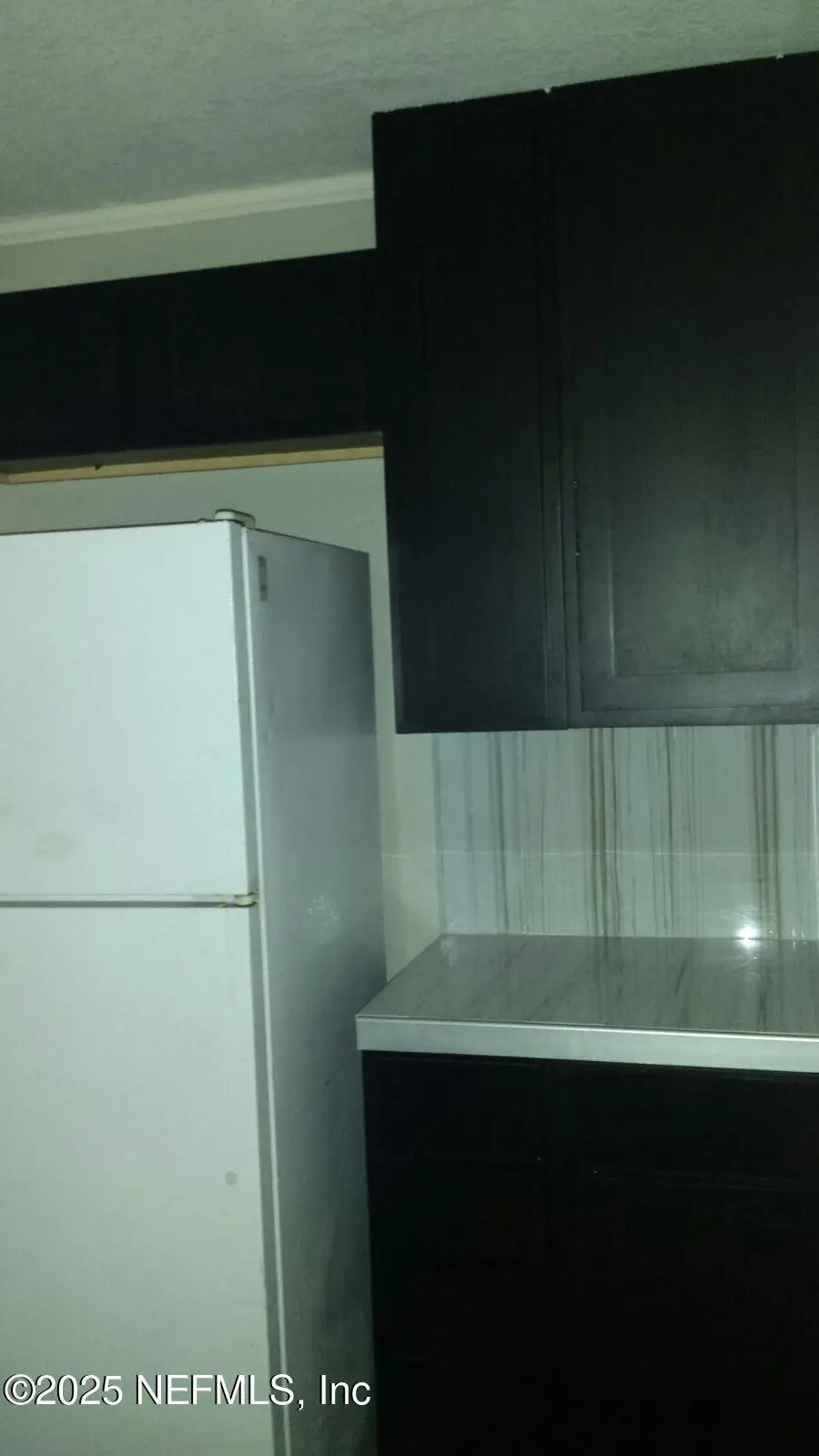 2648 Dellwood Avenue, Jacksonville, FL 32204 - Image #2