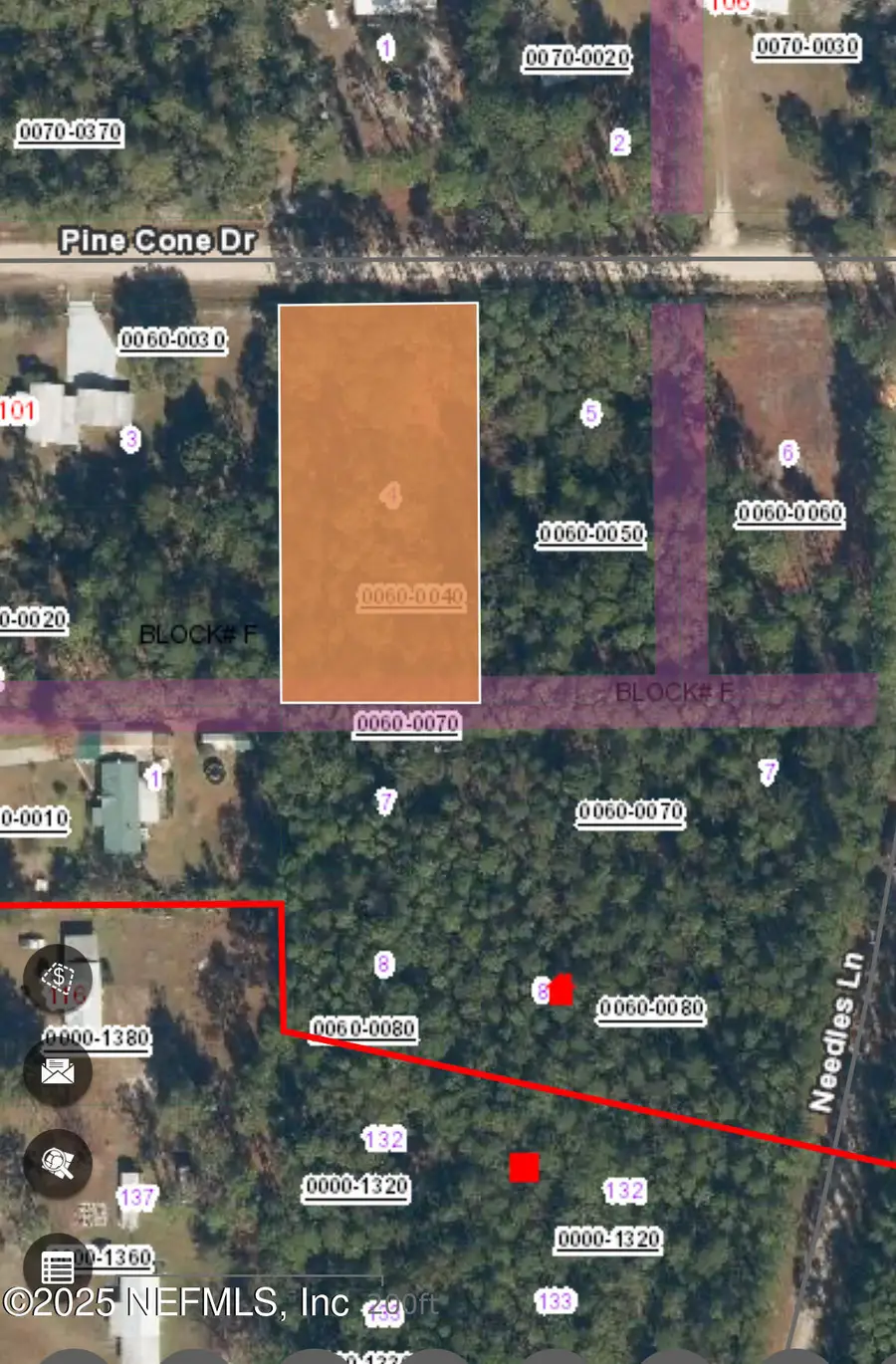 103 Pine Cone Drive, Georgetown, FL 32139 - Image #2