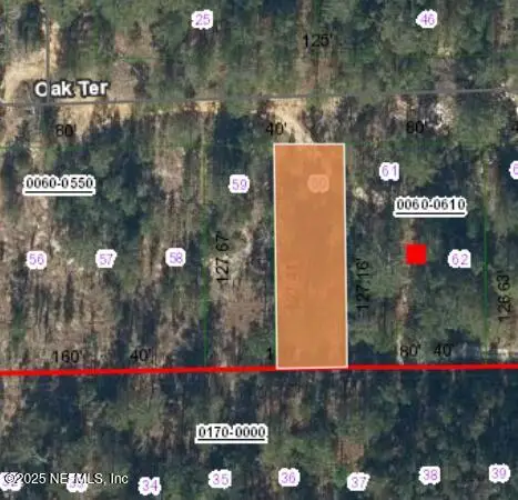 0 Unassigned Road, Interlachen, FL 32148 - Image #1