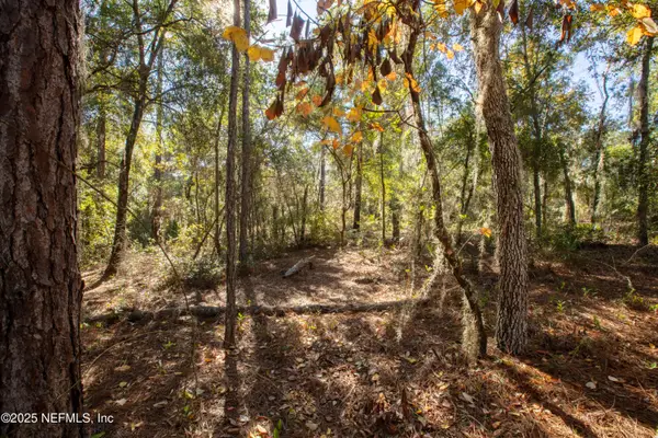 000 W Hillsborough Avenue, Florahome, FL 32140