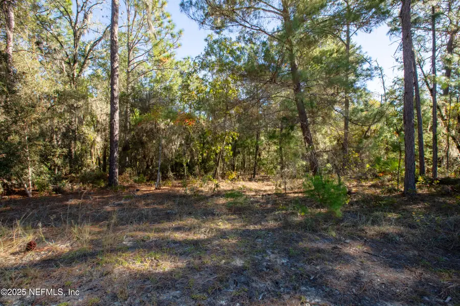 000 W Hillsborough Avenue, Florahome, FL 32140 - Image #2