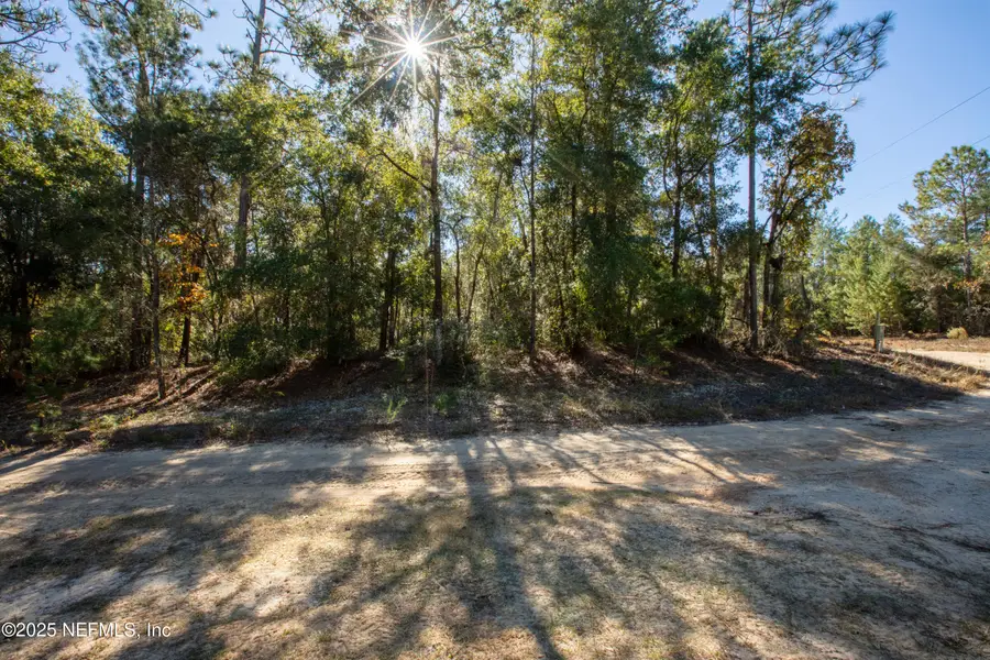 000 W Hillsborough Avenue, Florahome, FL 32140 - Image #3