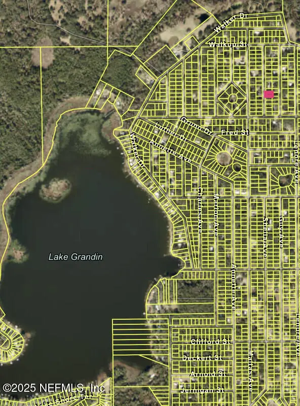 210 Usina Avenue, Interlachen, FL 32148 - Image #2