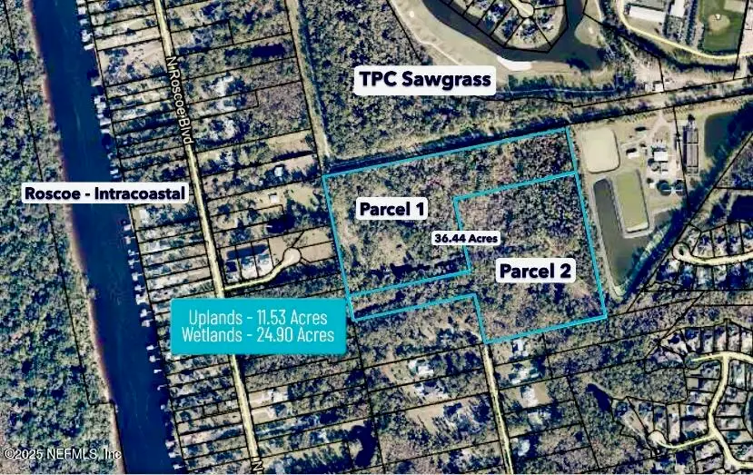 XX N Wilderness Trail, Palm Valley, FL 32082 - Image #2