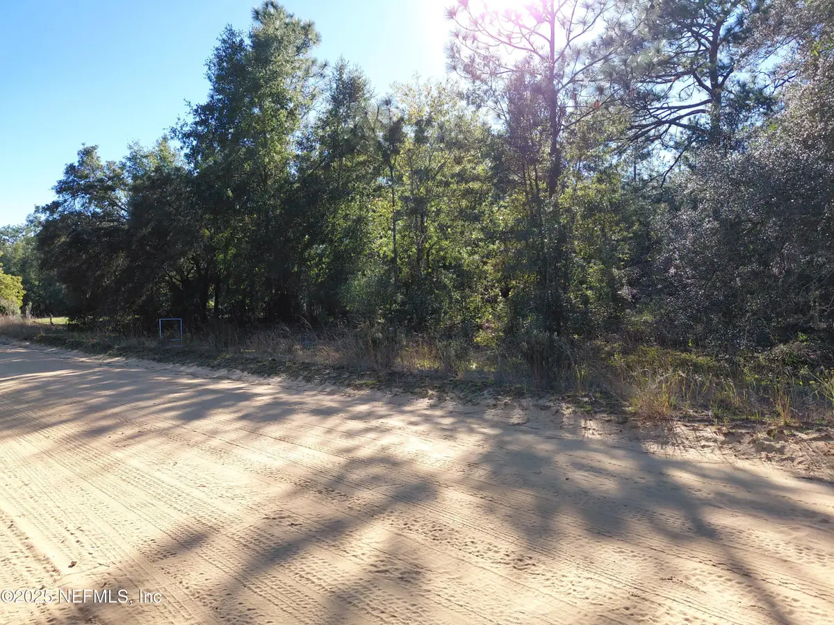 222 Hamilton Avenue, Interlachen, FL 32148 - Image #1