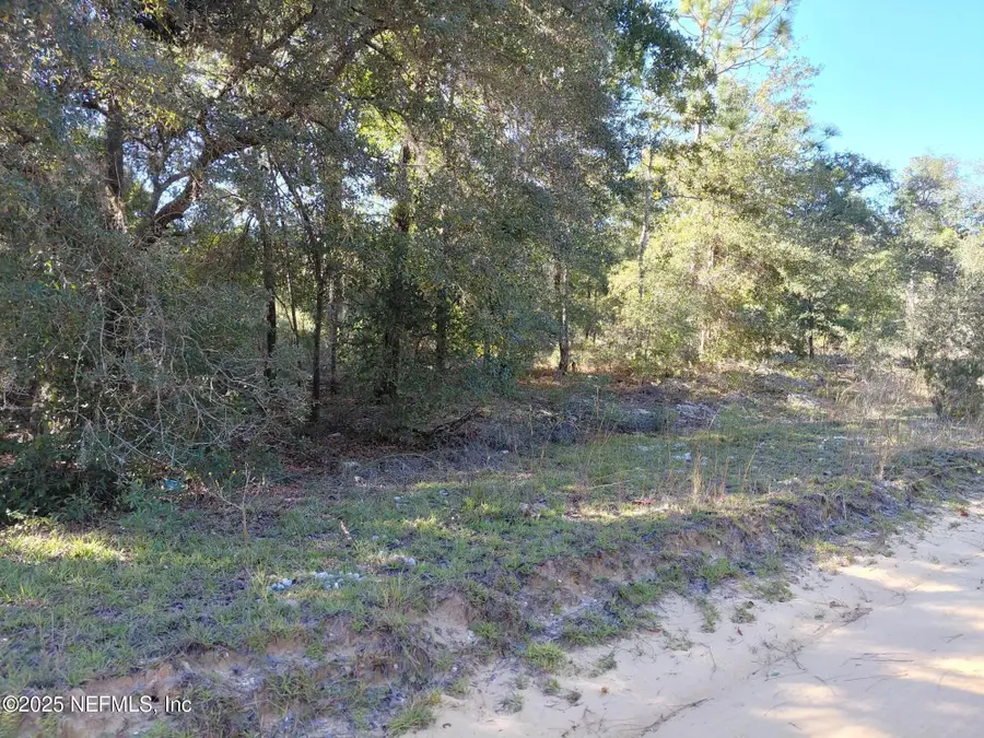 222 Hamilton Avenue, Interlachen, FL 32148 - Image #2