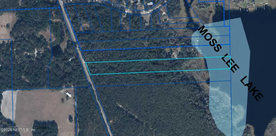 10405 Holden Park Road, Hawthorne, FL 32640 - Image #2