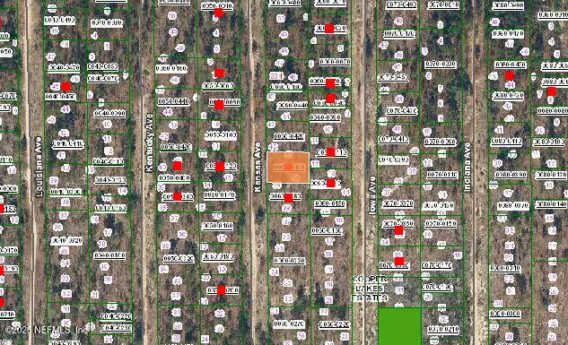 224 Kansas Avenue, Hawthorne, FL 32640 - Image #2