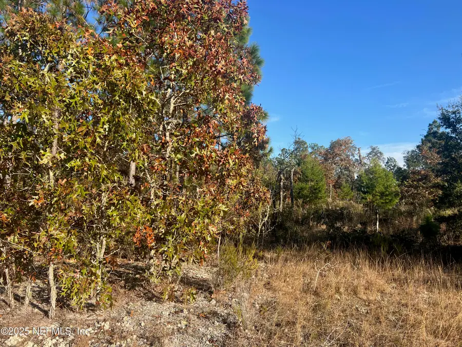 224 Kansas Avenue, Hawthorne, FL 32640 - Image #3