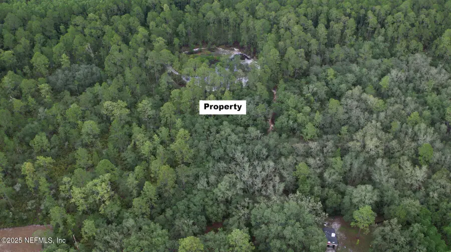 137 Dawson Avenue, Interlachen, FL 32148 - Image #3