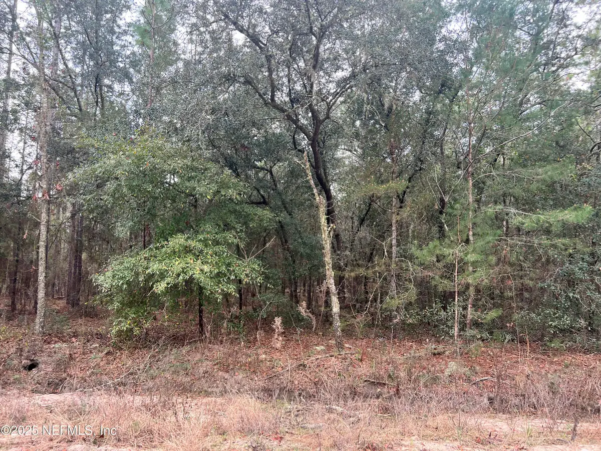 0 Trout Lake Circle, Interlachen, FL 32148 - Image #1