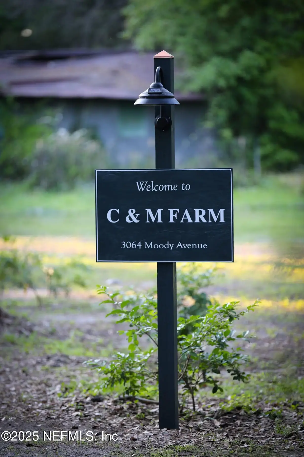 3064 Moody Avenue, Orange Park, FL 32065 - Image #1