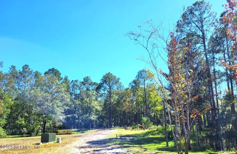 9545 Plummer Road, Jacksonville, FL 32219 - Image #2
