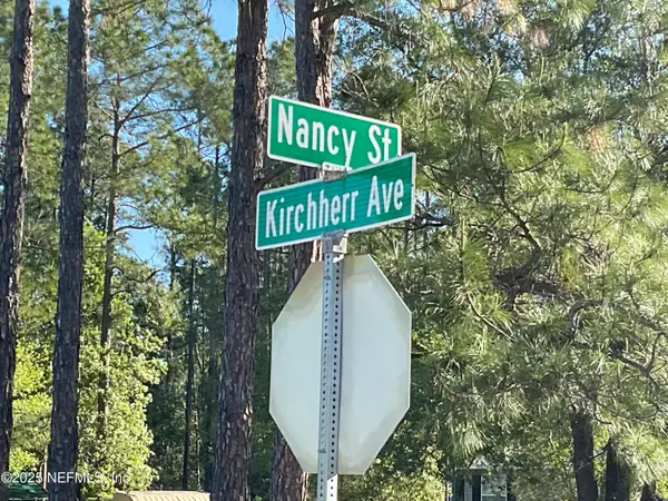 10030 Kirchherr Avenue, Hastings, FL 32145