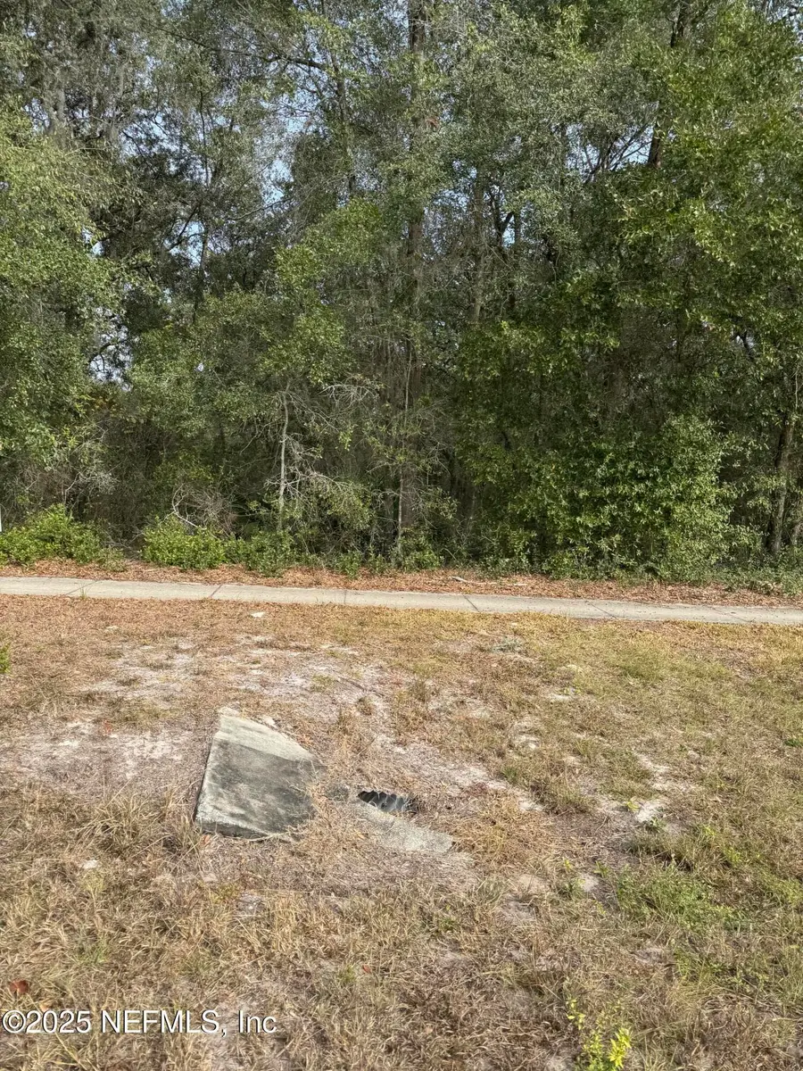 1682 S Highway 17 S, Pomona Park, FL 32181 - Image #2