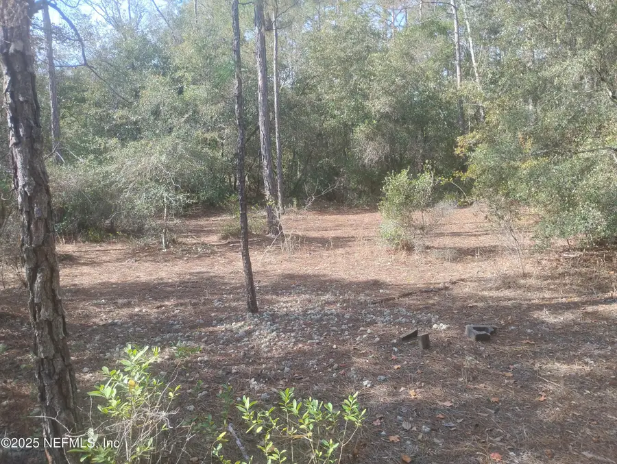 5812 Bryce Street, Keystone Heights, FL 32656 - Image #3