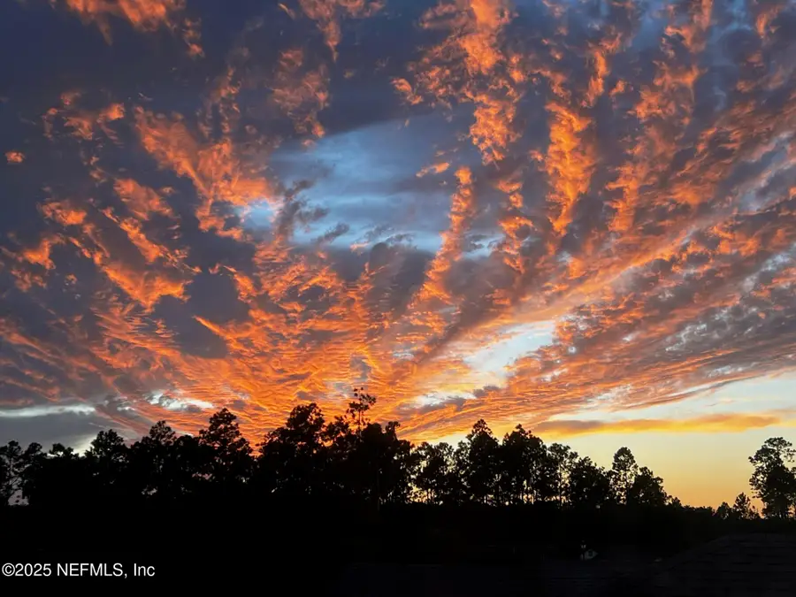 263 Forest Spring Drive, Ponte Vedra, FL 32081 - Image #2