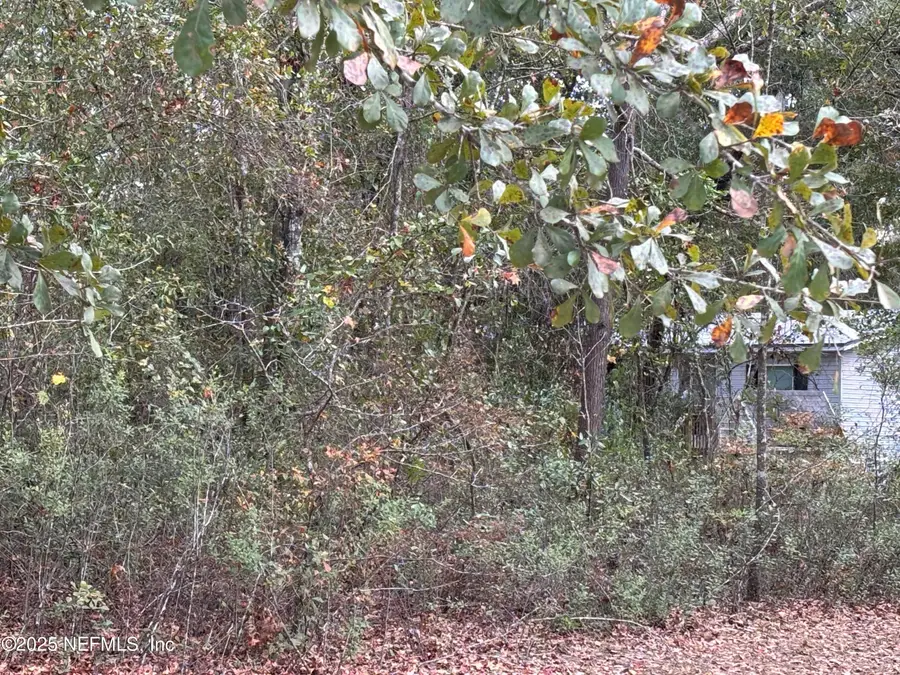 4667 Peppergrass Street, Middleburg, FL 32068 - Image #3