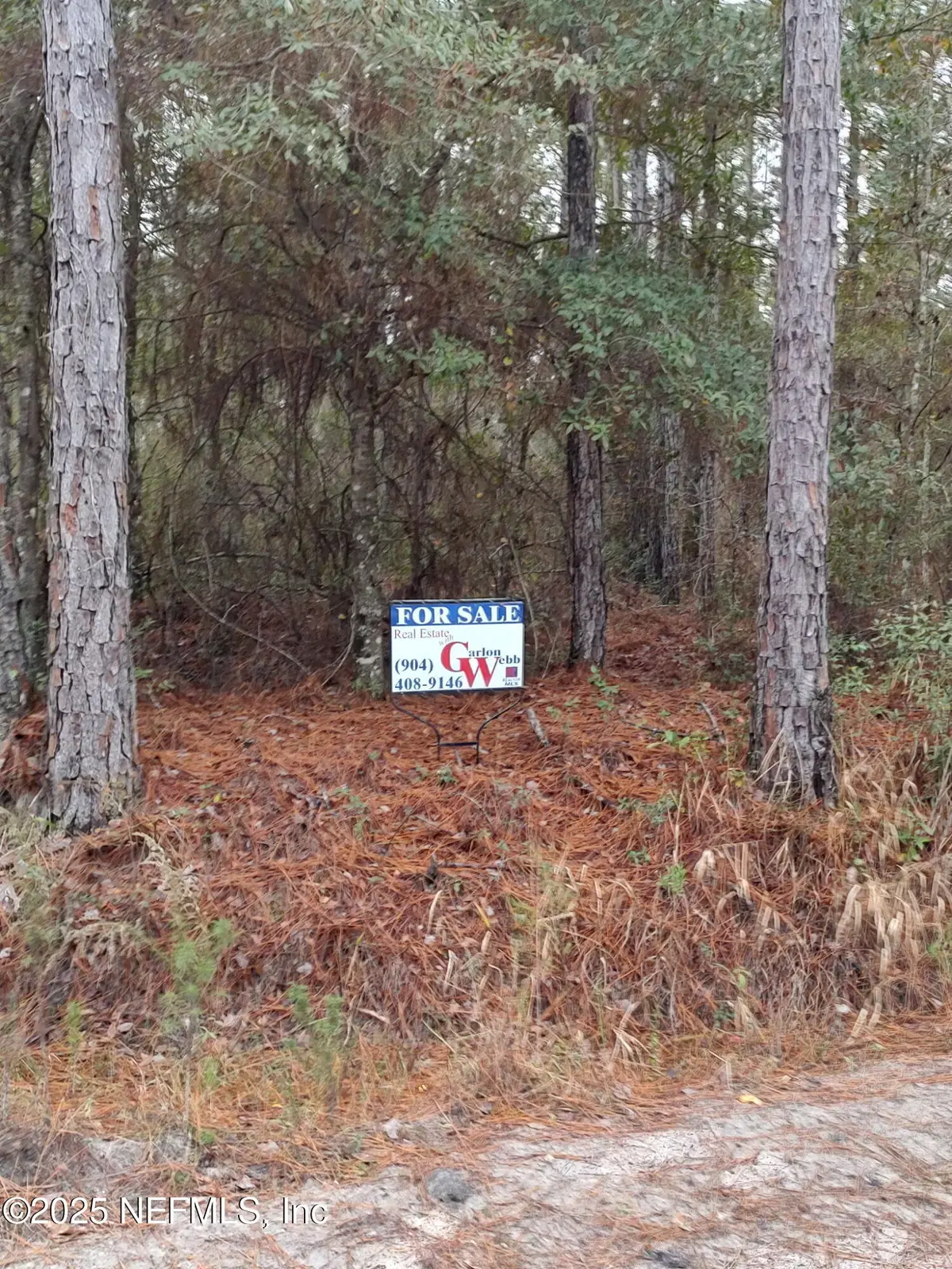 1757 Whippoorwill Lane, Glen Saint Mary, FL 32040 - Image #1