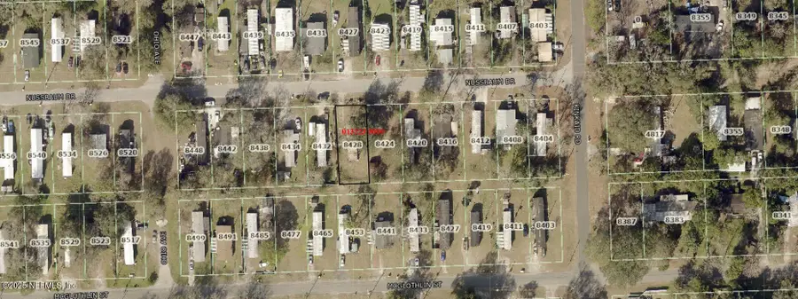 8428 Nussbaum Drive, Jacksonville, FL 32210 - Image #2