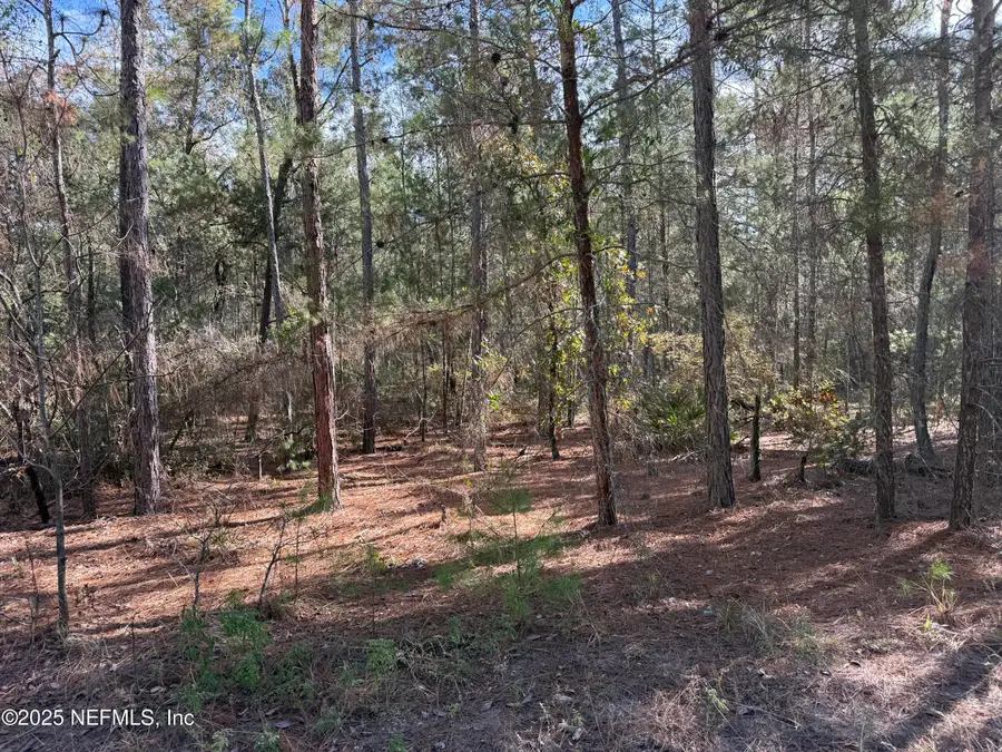 126 E Lura Lane, Florahome, FL 32140 - Image #2