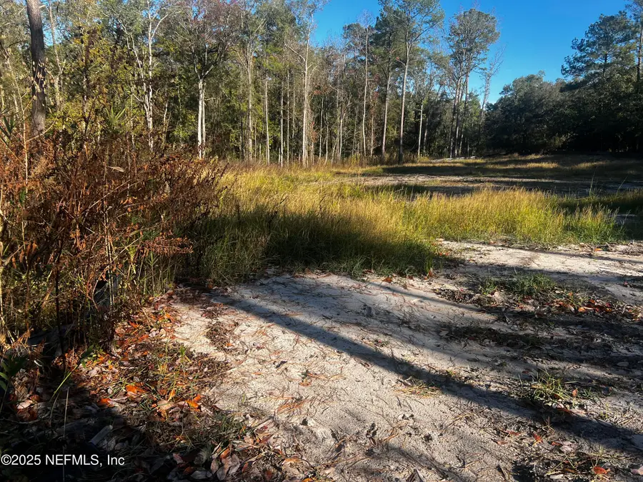 4819 Sedge Street, Middleburg, FL 32068 - Image #2