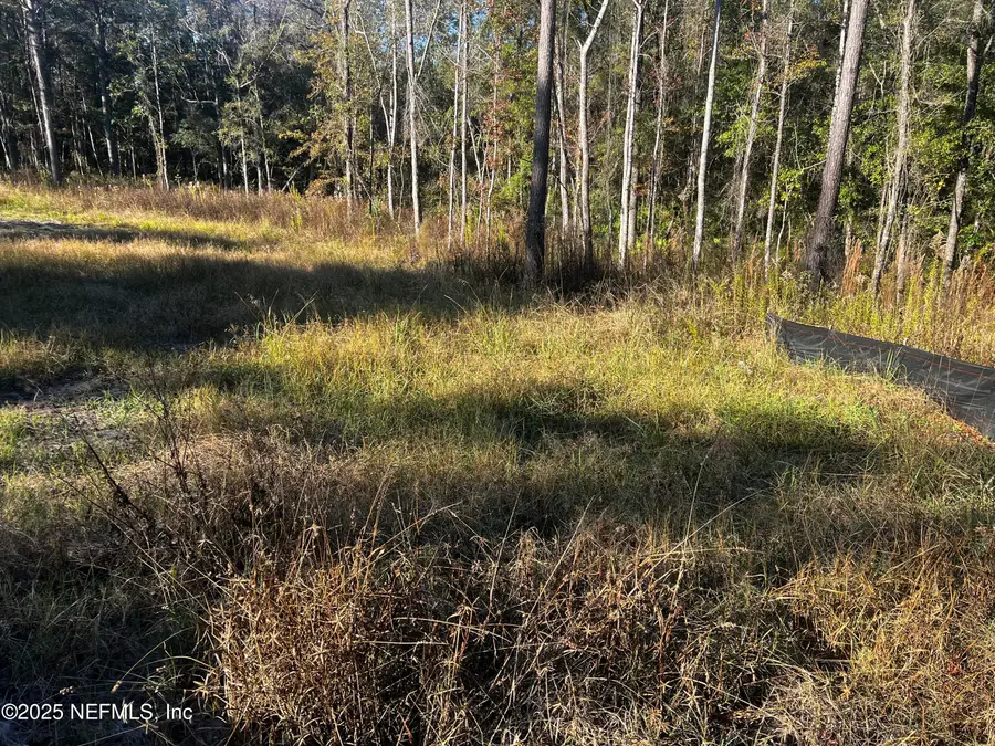 4825 Sedge Street, Middleburg, FL 32068 - Image #2