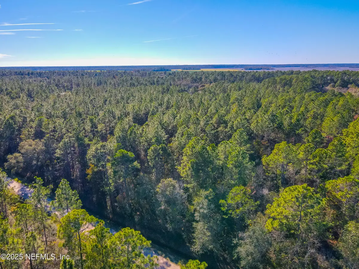 10265 Flikkema Avenue, Hastings, FL 32145 - Image #1