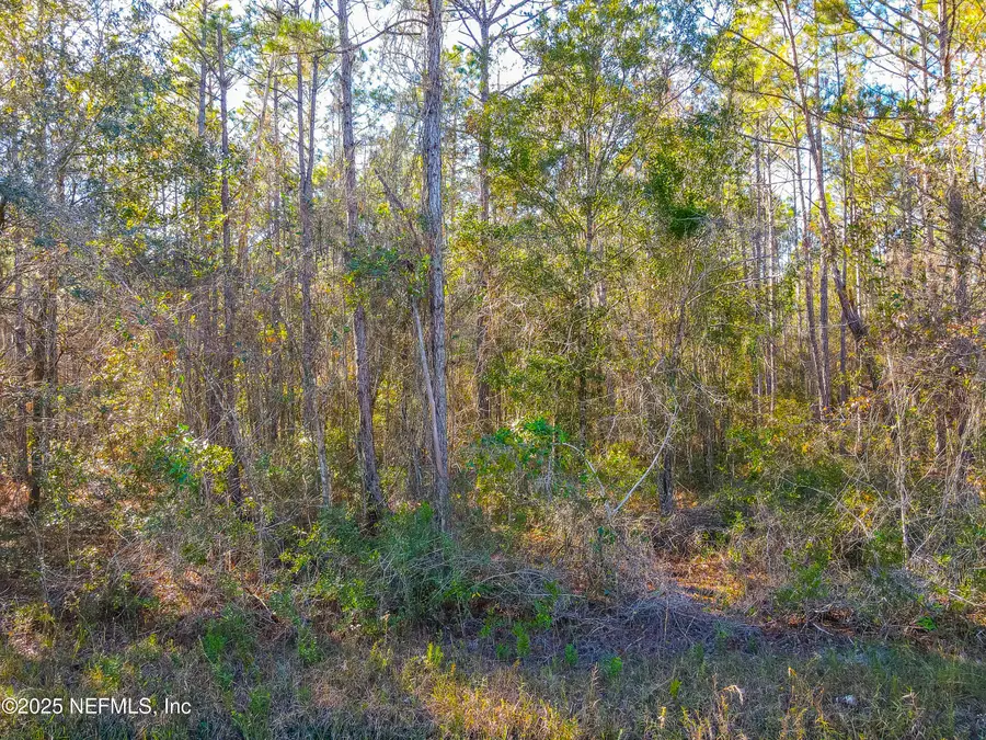 10265 Flikkema Avenue, Hastings, FL 32145 - Image #2