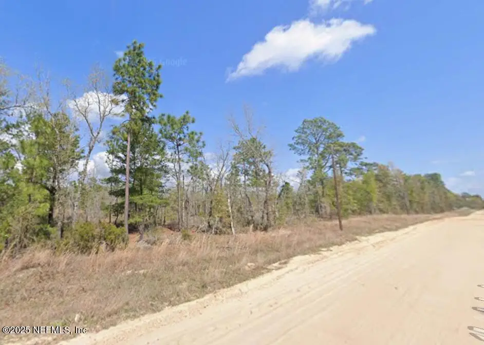 00 Martindale Avenue, Interlachen, FL 32148 - Image #1