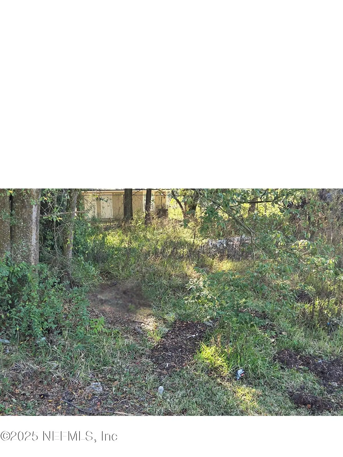 0 Baldwin Street, Jacksonville, FL 32209 - Image #1