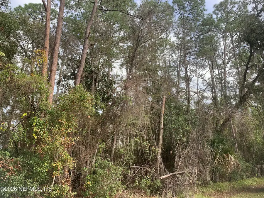 0 Undisclosed San Jose Ave, East Palatka, FL 32131 - Image #2