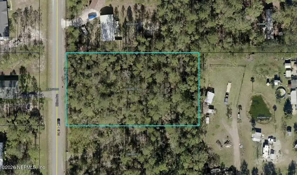 9720 Dillon Avenue, Hastings, FL 32145 - Image #1