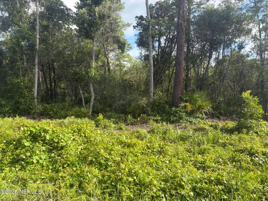 0 Waites Dr Drive, Florahome, FL 32140 - #3