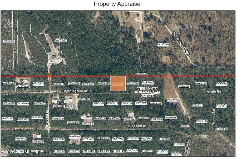 210 Morningside Drive, Florahome, FL 32140 - #2