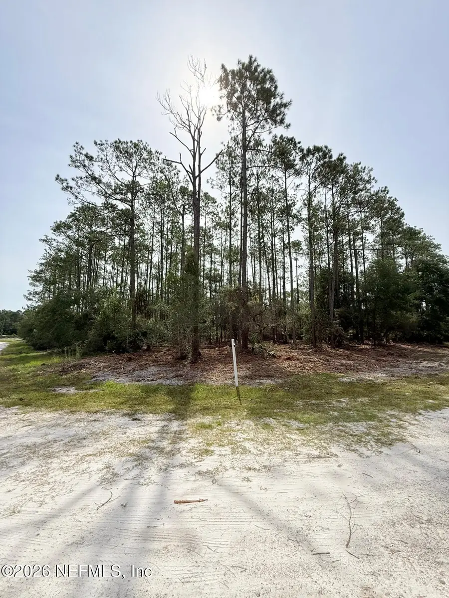 34 Whispering Pines Road Road, Georgetown, FL 32139 - Image #2