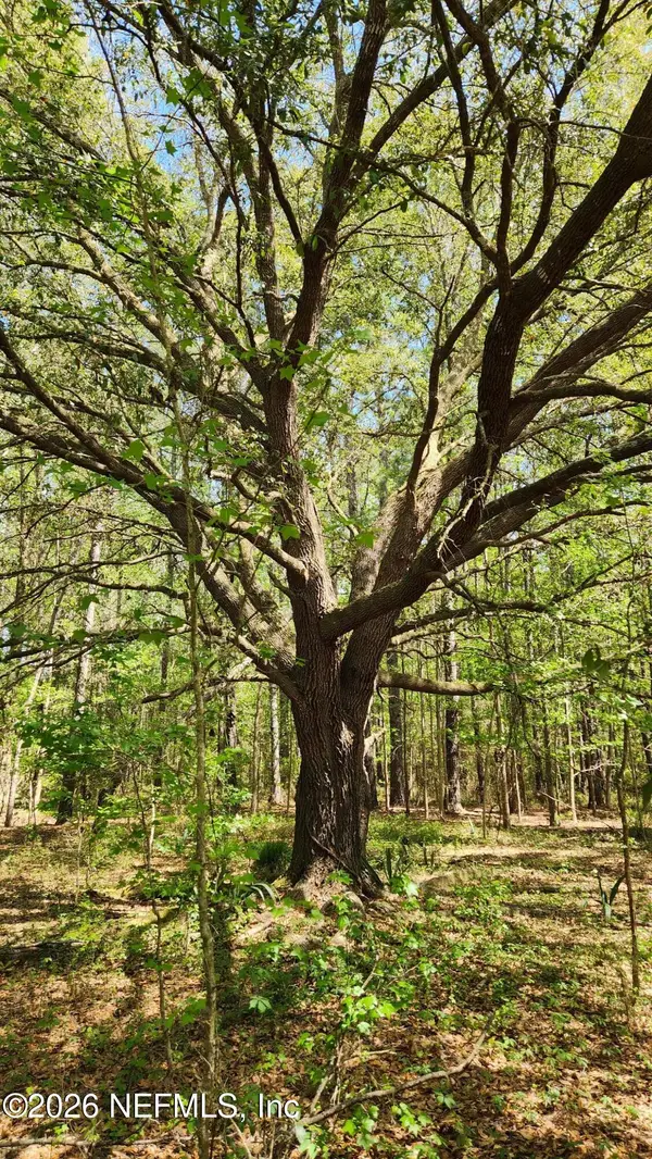 4400 Falcon Run Lane, Middleburg, FL 32068