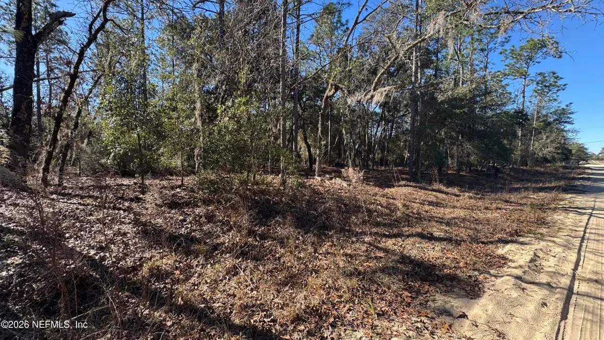 131 Spring Lake Drive, Interlachen, FL 32148 - #1