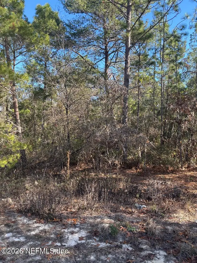 7457 Bienville Avenue, Keystone Heights, FL 32656 - Image #1