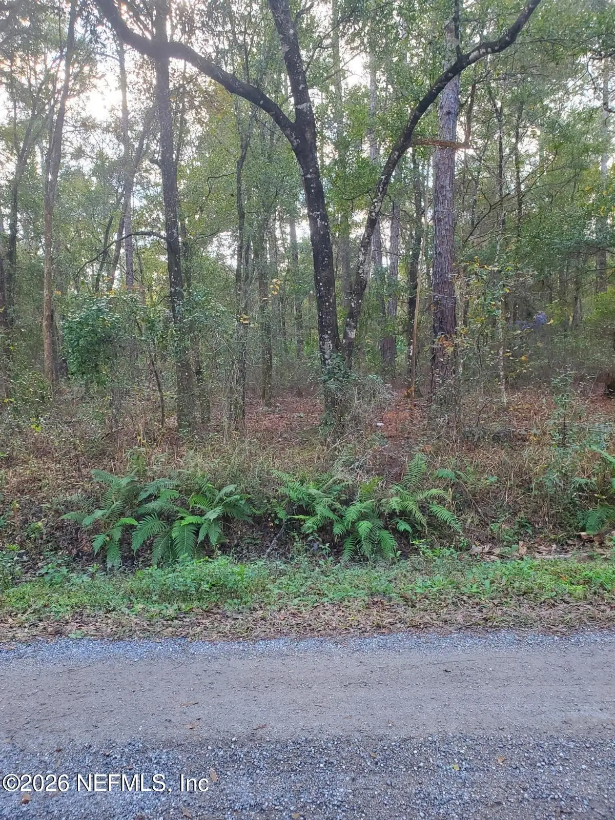 4825 Joseph Street, Hastings, FL 32145 - Image #1