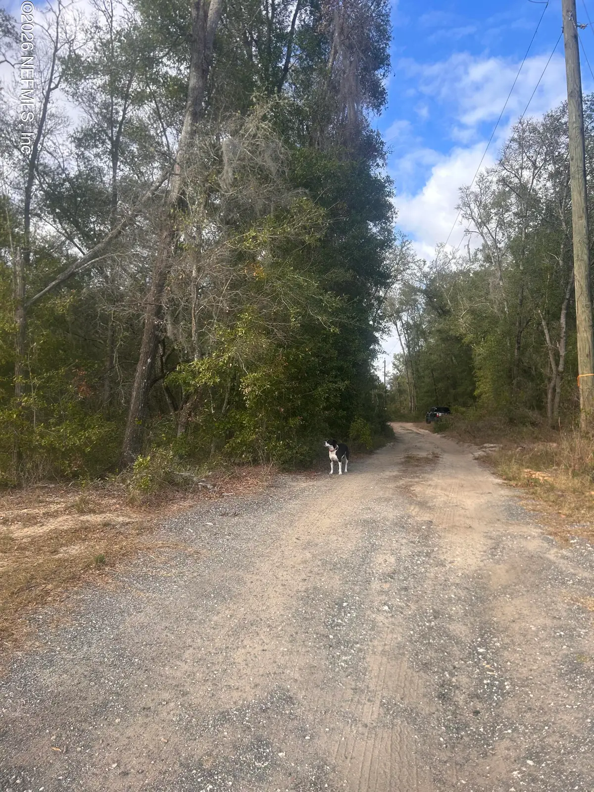 0 State Road 20, Hawthorne, FL 32640 - Image #1