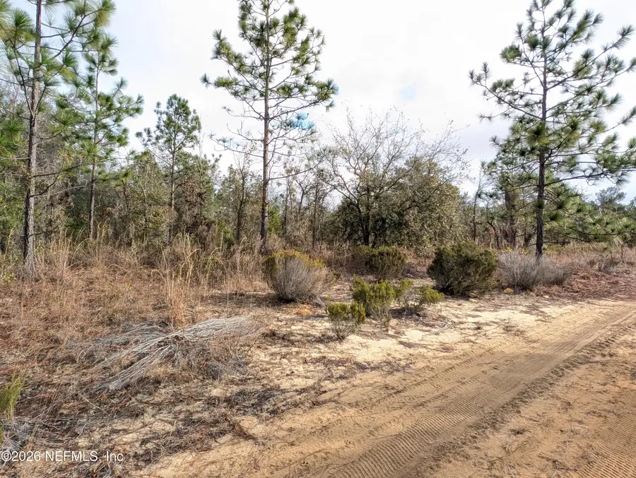 430 Cherry Street, Interlachen, FL 32148 - #2