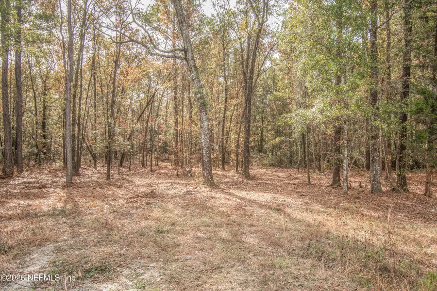 13890 County Road 124, Sanderson, FL 32087 - #2