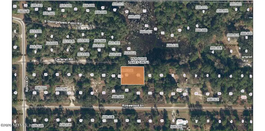 519 Carteret Road, Georgetown, FL 32139 - #2
