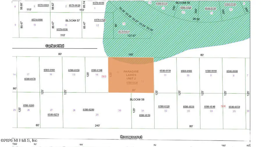 519 Carteret Road, Georgetown, FL 32139 - #3