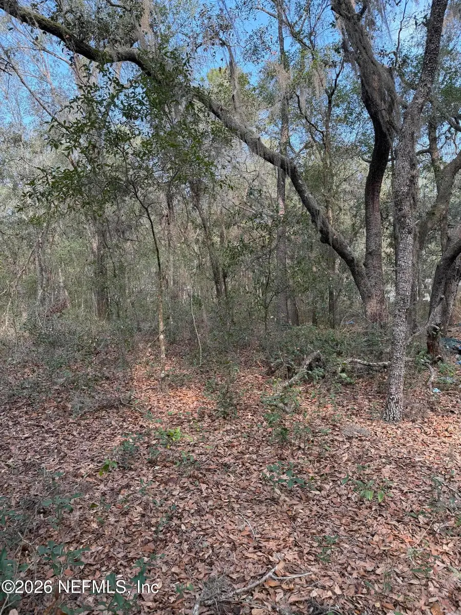 102 David Drive, Interlachen, FL 32148 - #2